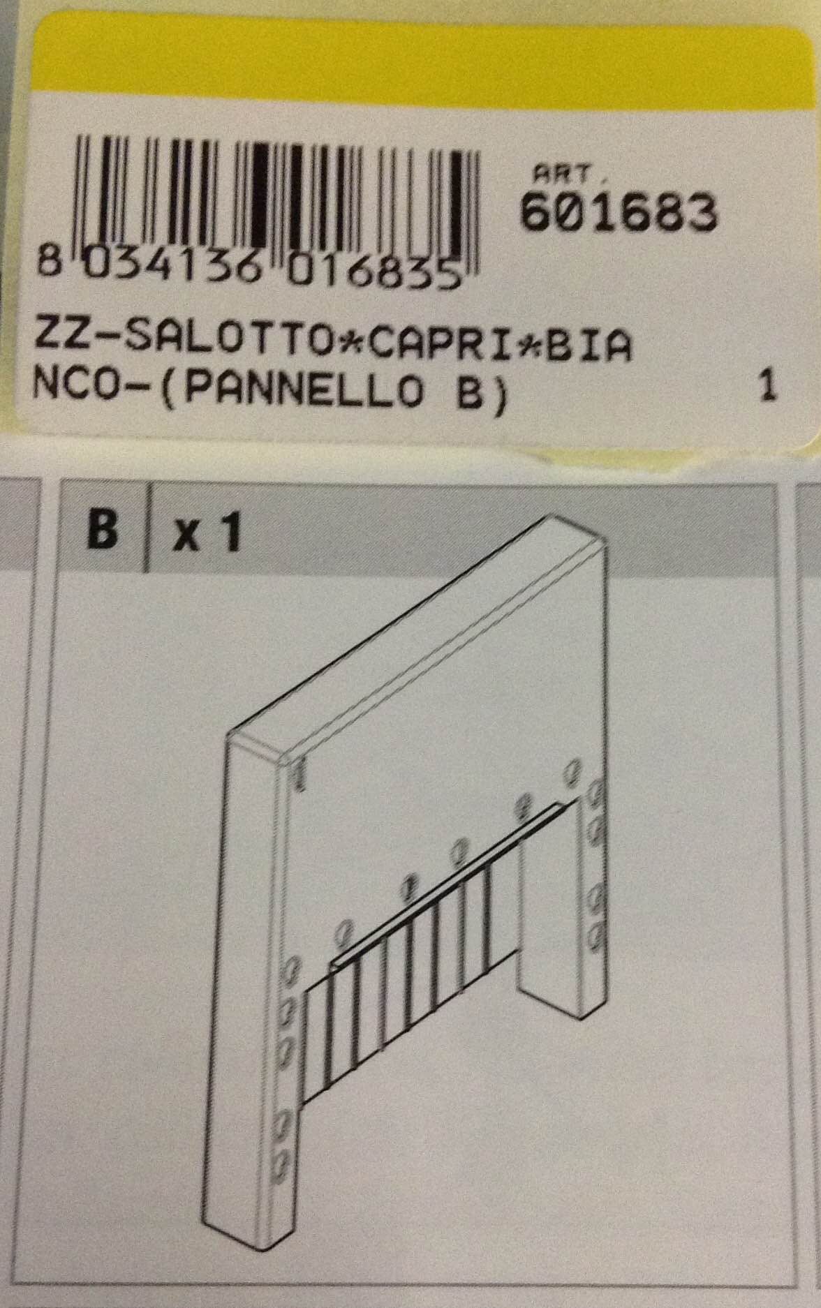 ZZ-SALOTTOCAPRIBIANCO-(PANNELLO B)