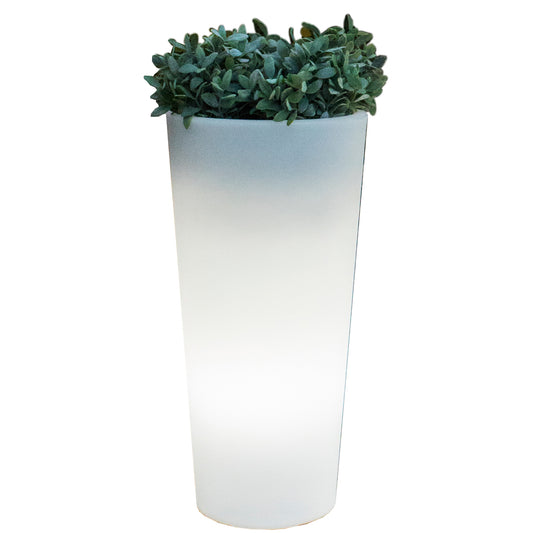 VASO SOLARE FICUS LED D 29XH59 CM RGB C/TELECOM